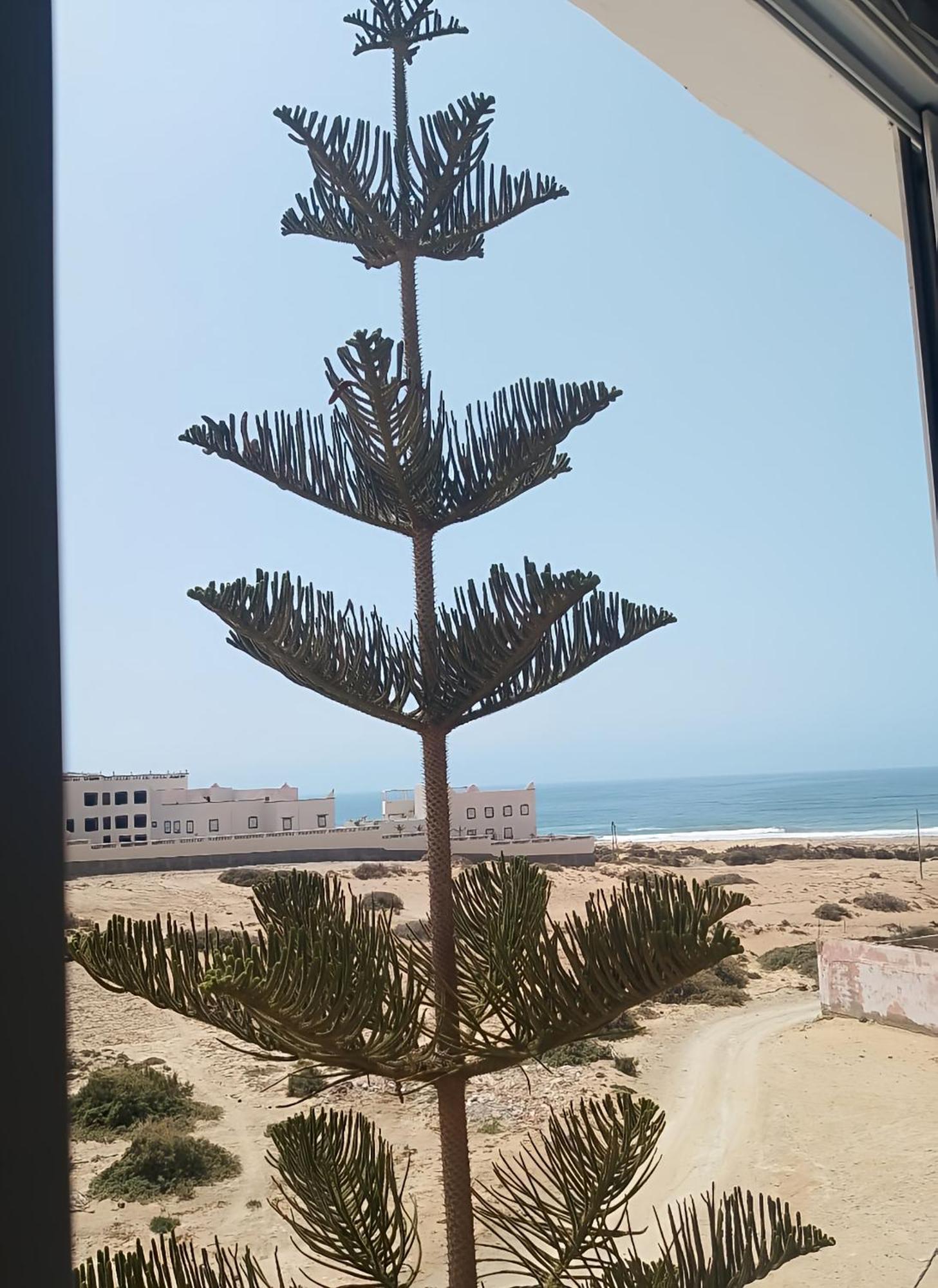 Tildi Surf House Hotel Imsouane Bagian luar foto